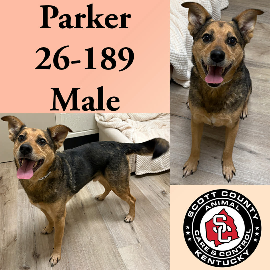 Parker
