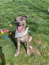Daisy - Photo 2