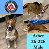 Asher - Photo 1