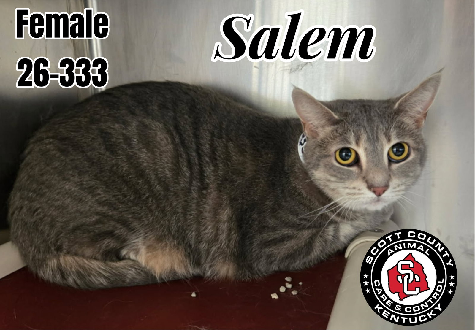 Salem