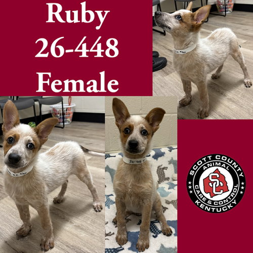 Ruby