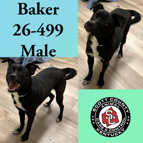 Baker