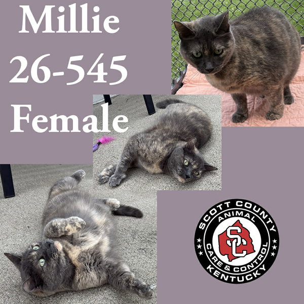Millie