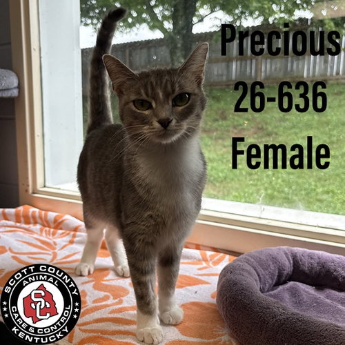 Precious