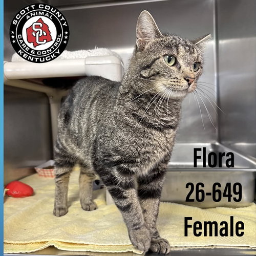 Flora