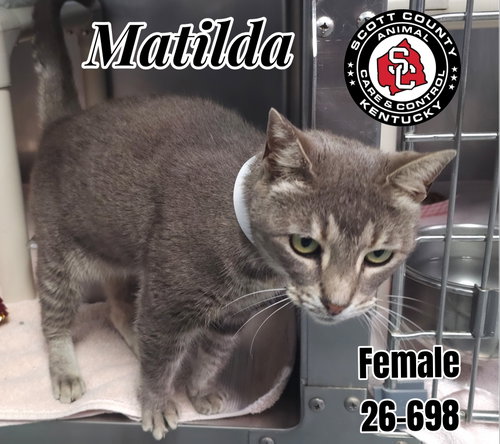 Matilda