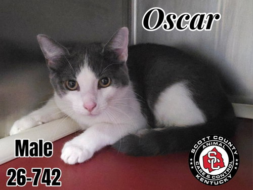 Oscar