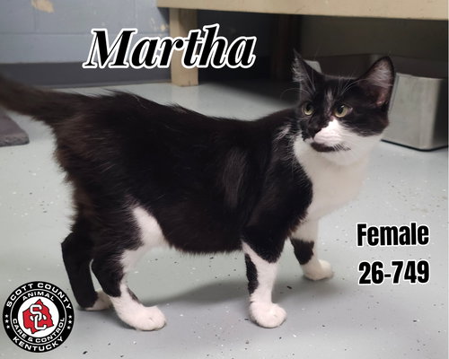 Martha