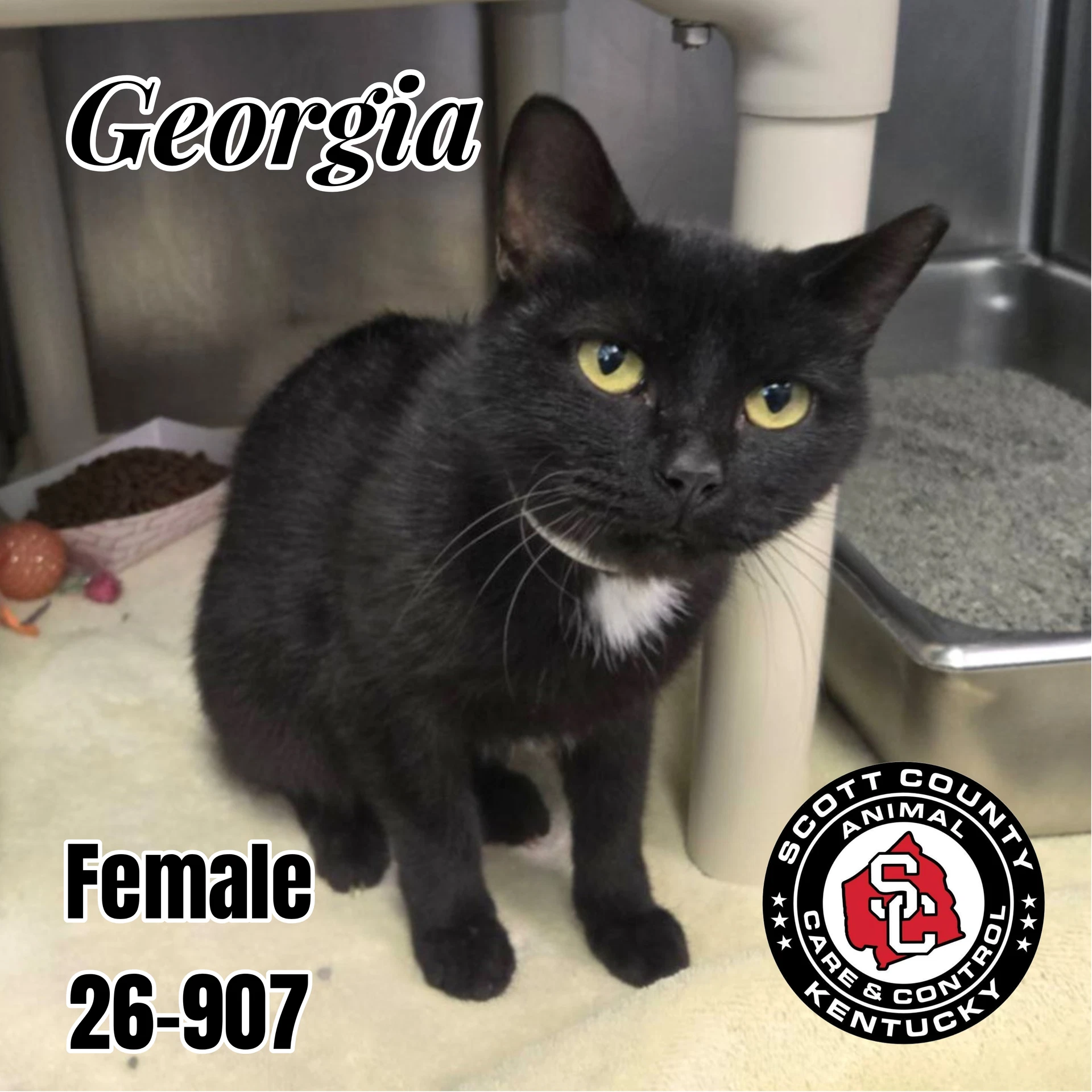 Georgia