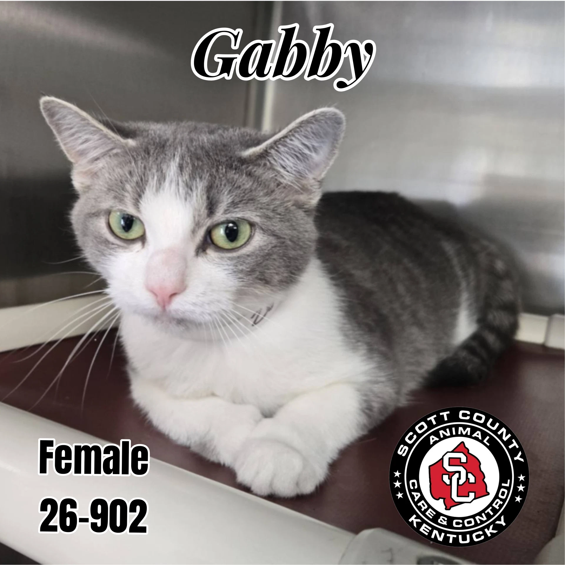 Gabby