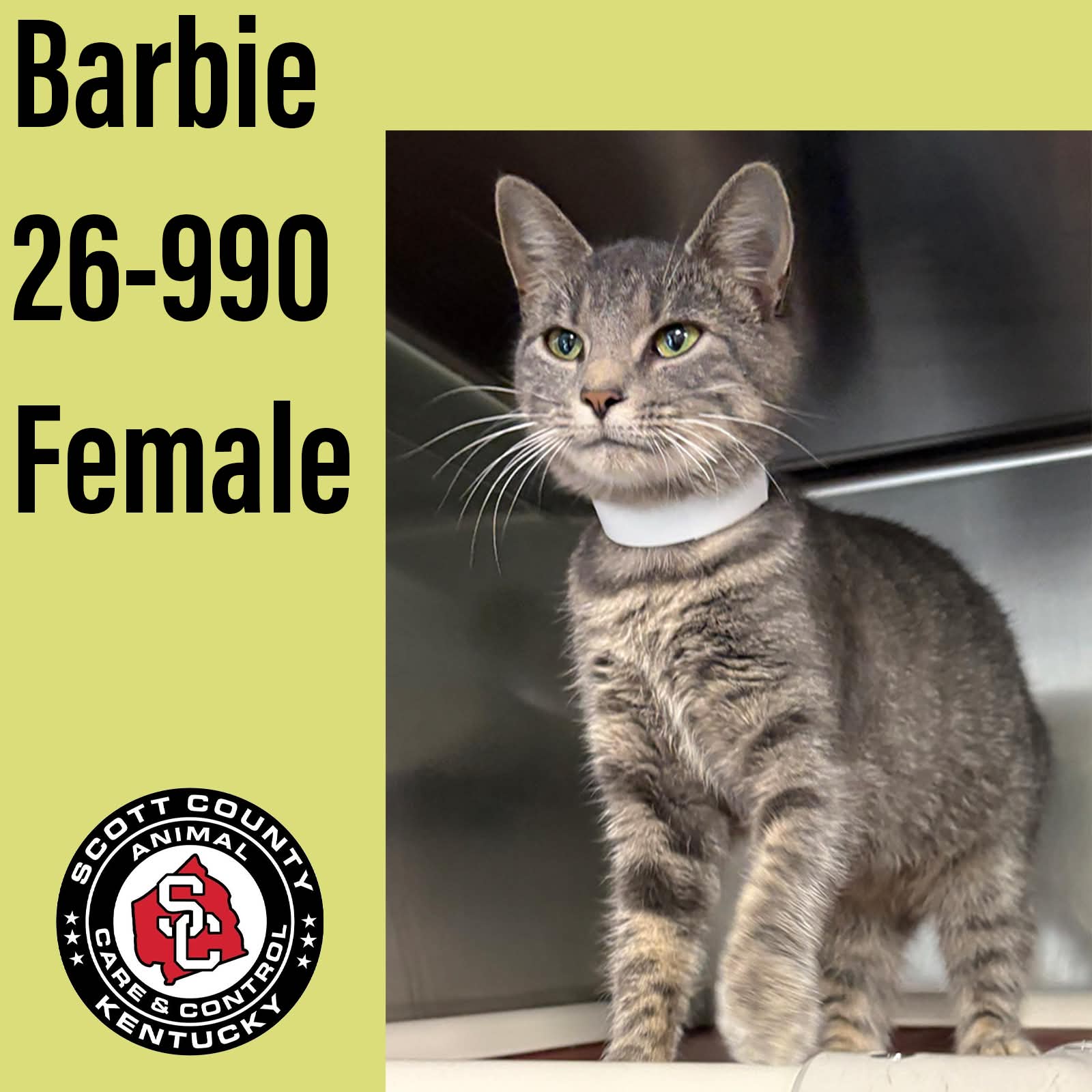 Barbie
