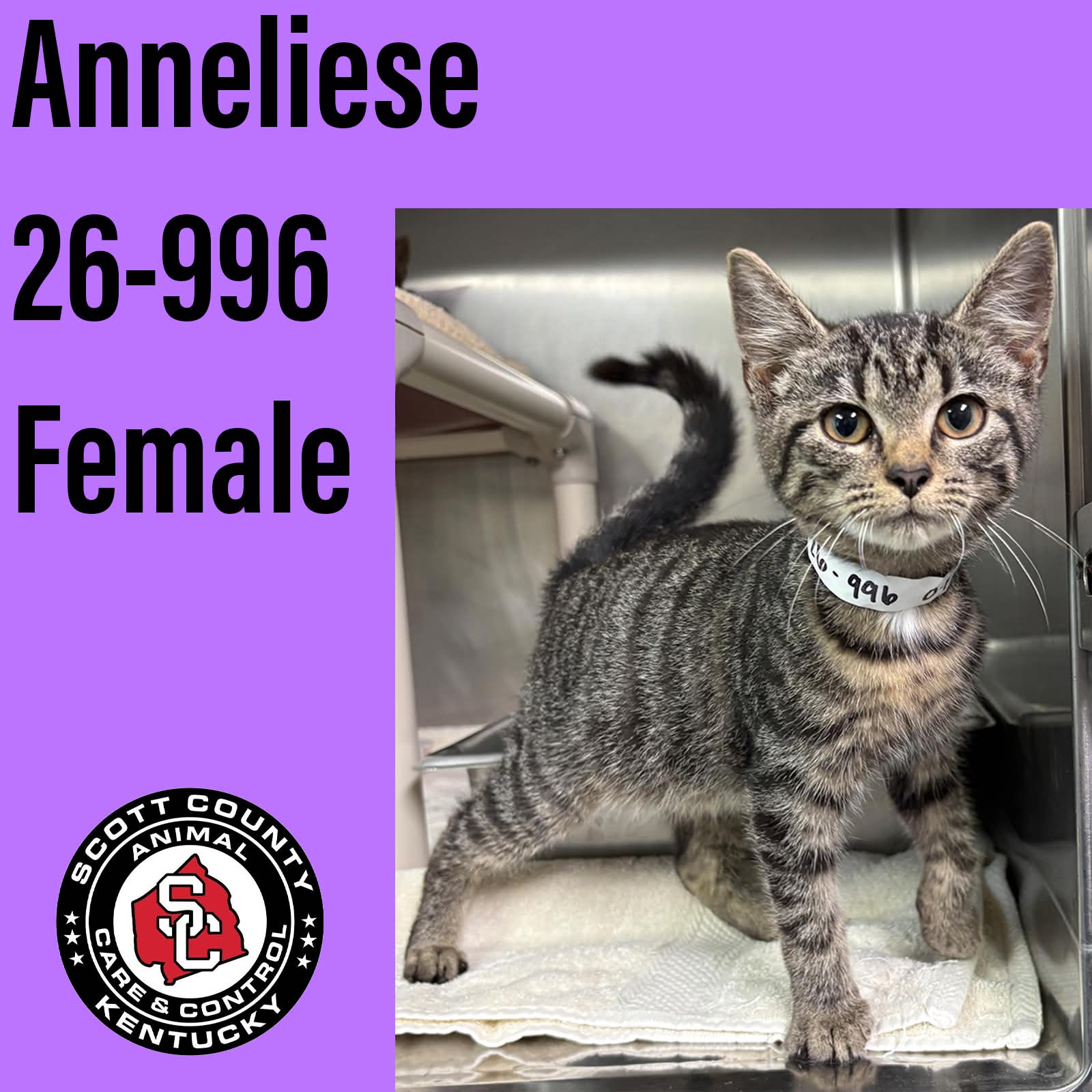 Anneliese
