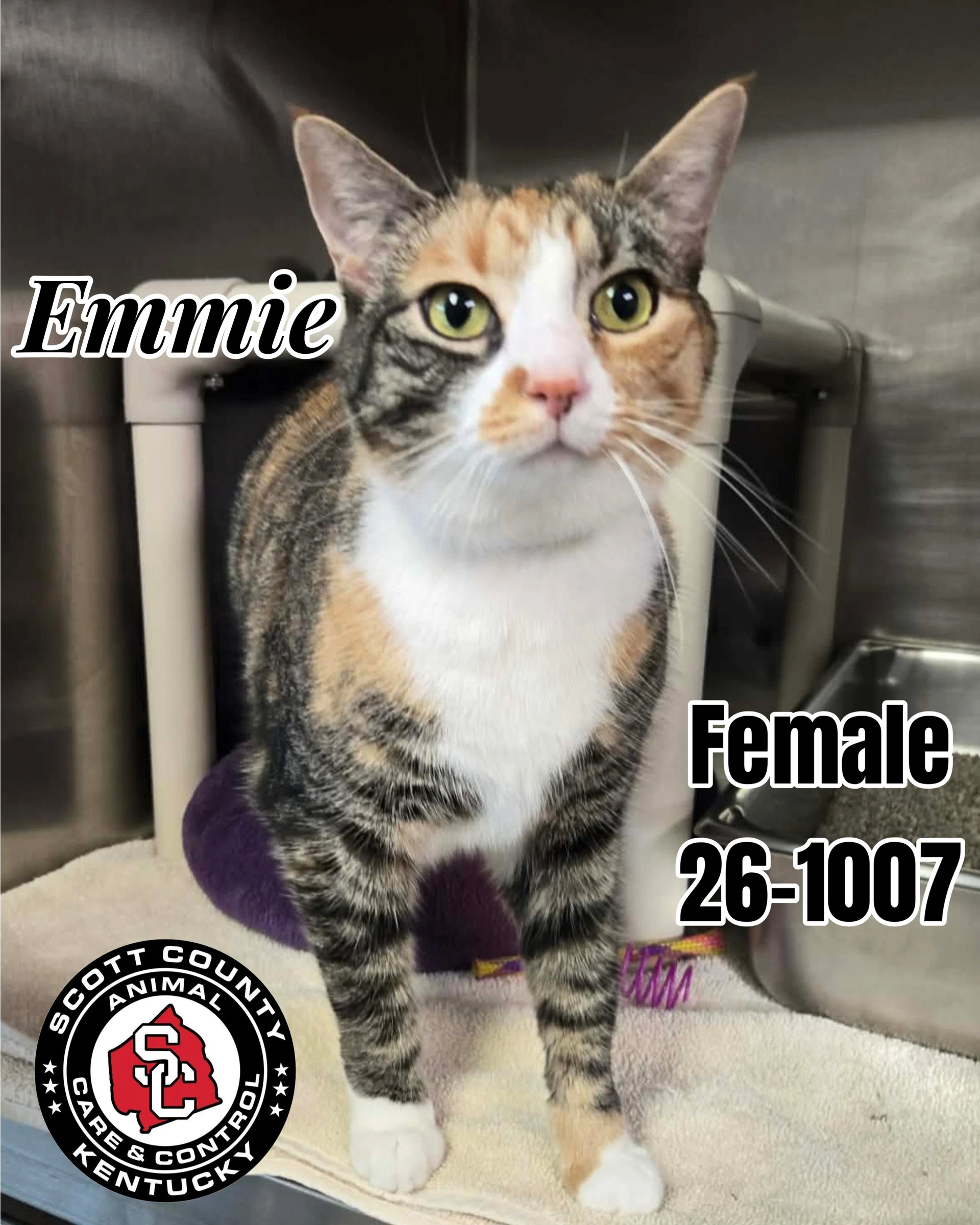 Emmie