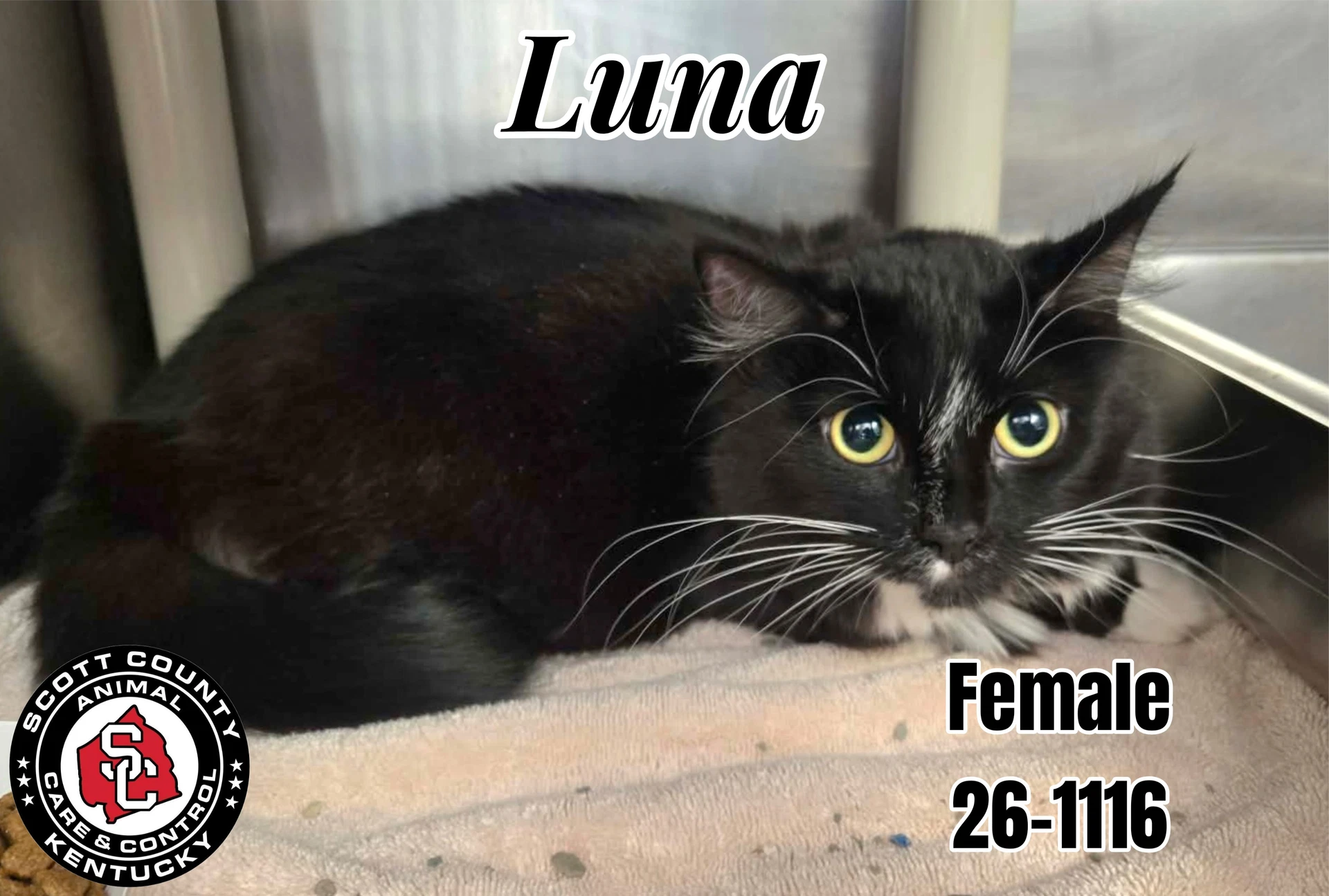 Luna
