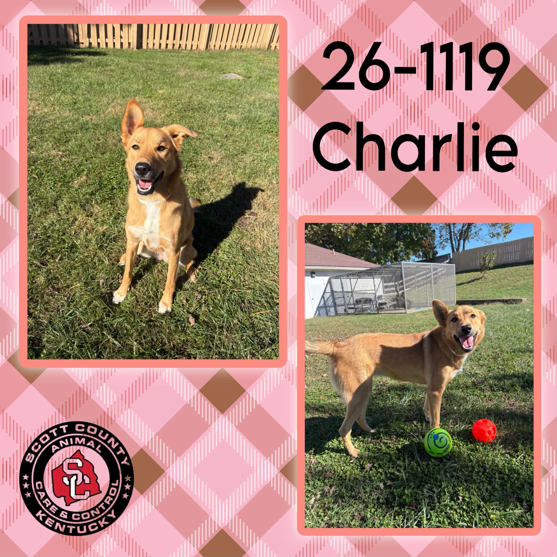 Charlie