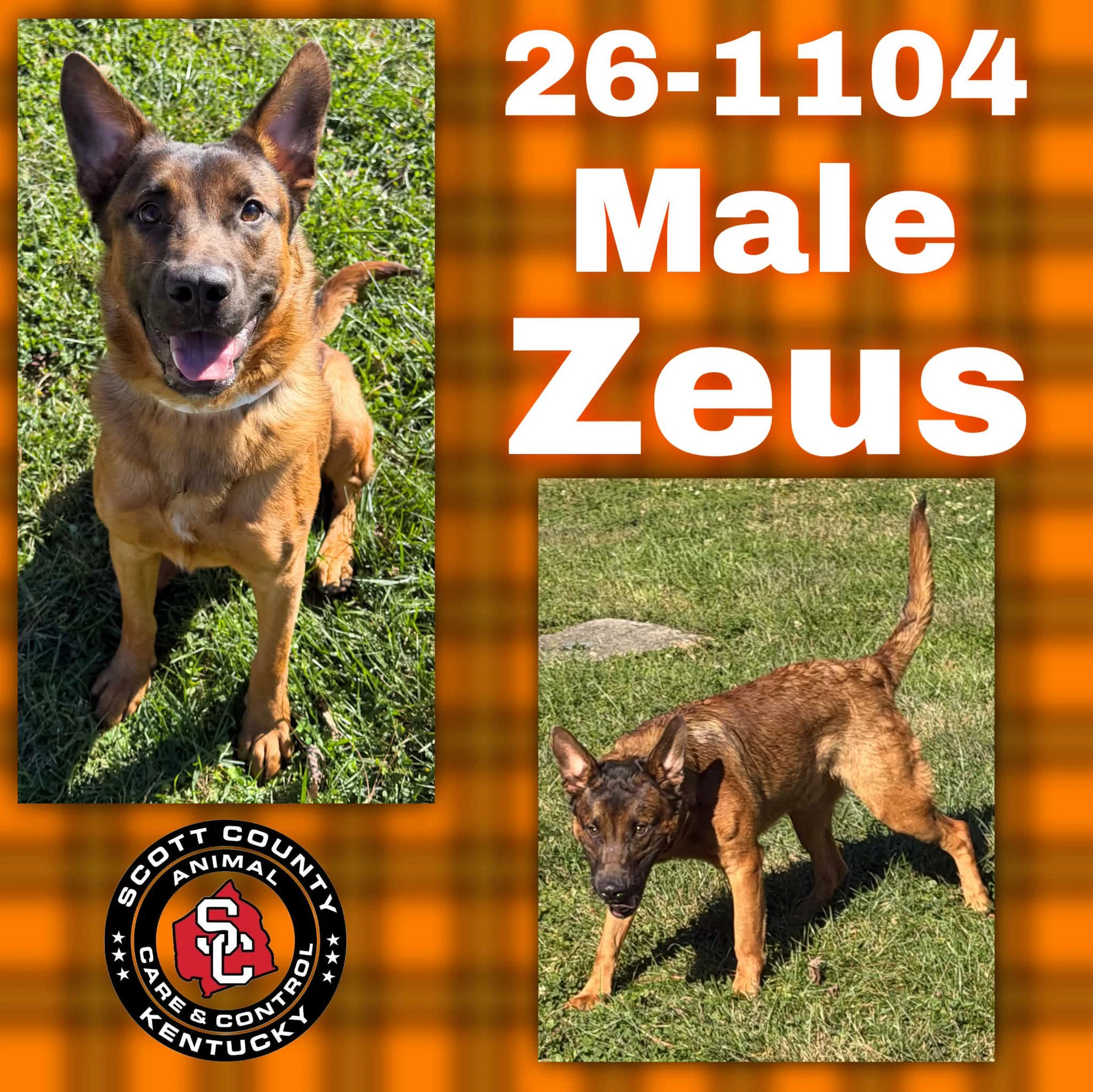Zeus