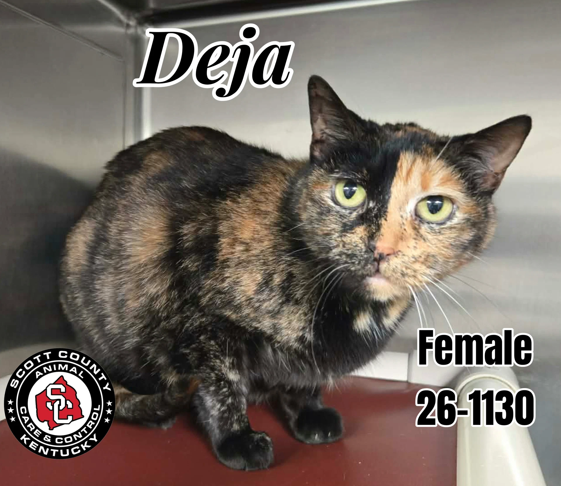 Deja