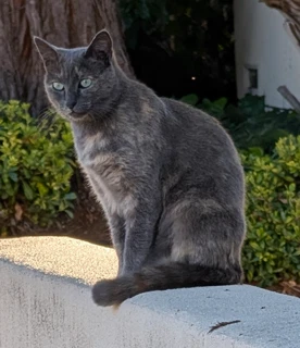 Gemma - Gorgeous Explorer