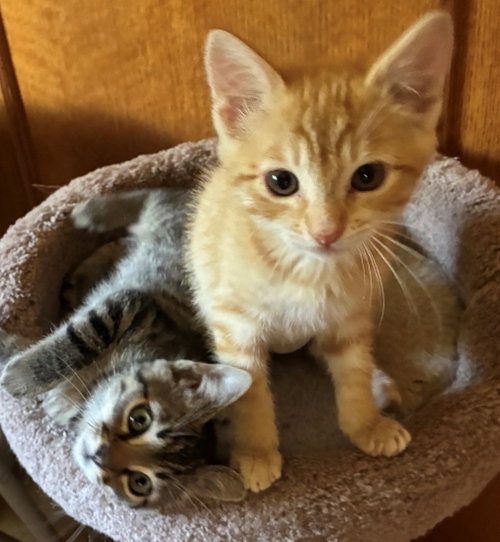 Burt & Meg