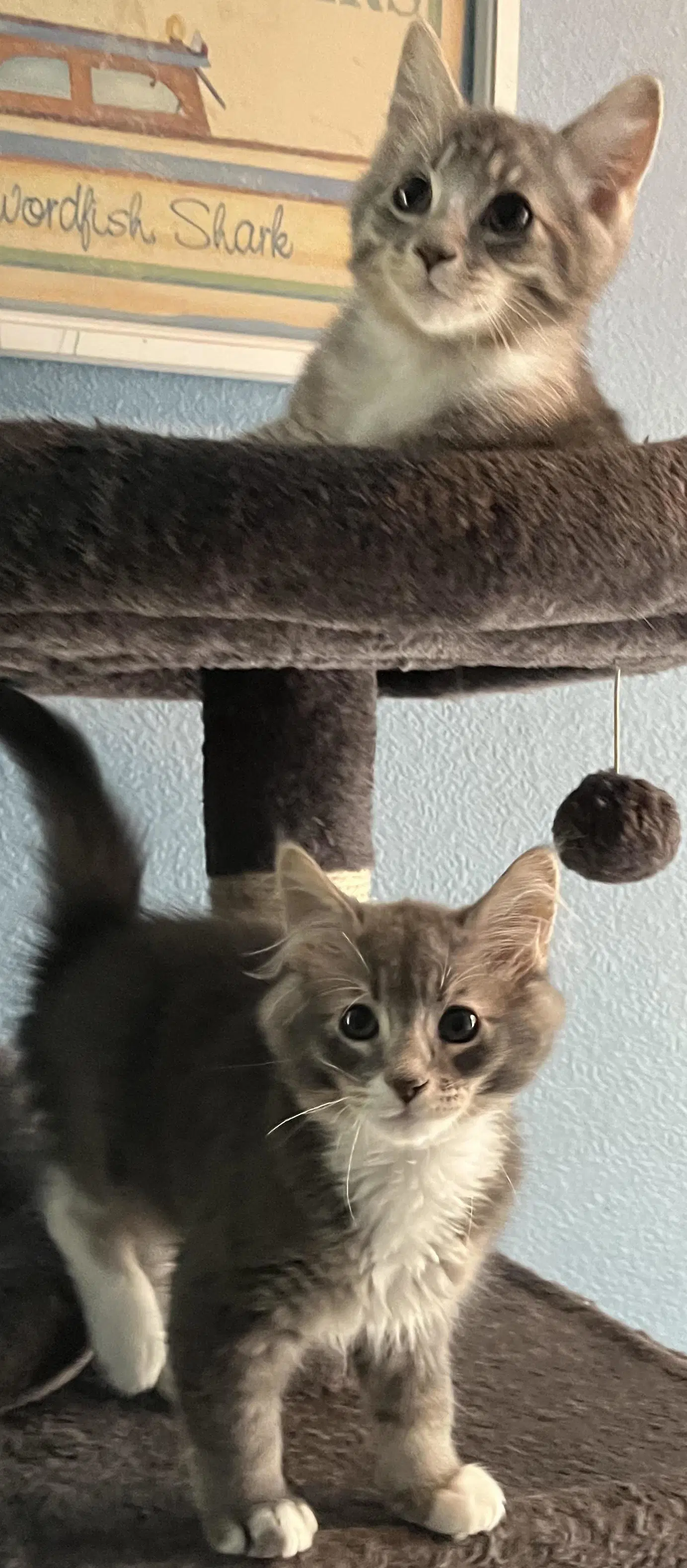 Ludacris And Zeta - Tabby