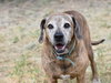Jack (Trinity) - Photo 2