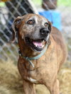 Jack (Trinity) - Photo 4