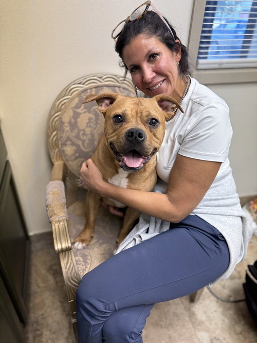picture of the dog needing adoption