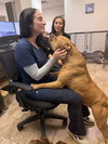Brady - Photo 3