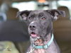 Junebug - Photo 2