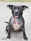 Junebug - Photo 4