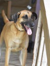 Muggs (Trinity) - Photo 4