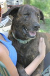 Hercules (Trinity) - Photo 3
