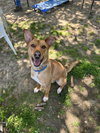 Charming Chance - Photo 3