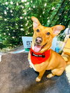 Charming Chance - Photo 4
