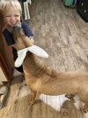Lucy 2 - Photo 2