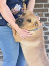 Lucy 2 - Photo 3