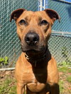Barnum - Photo 3