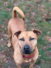 Barnum - Photo 4