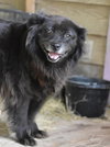Daisy (Trinity) - Photo 3