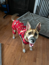 Murphy 2 - Photo 2