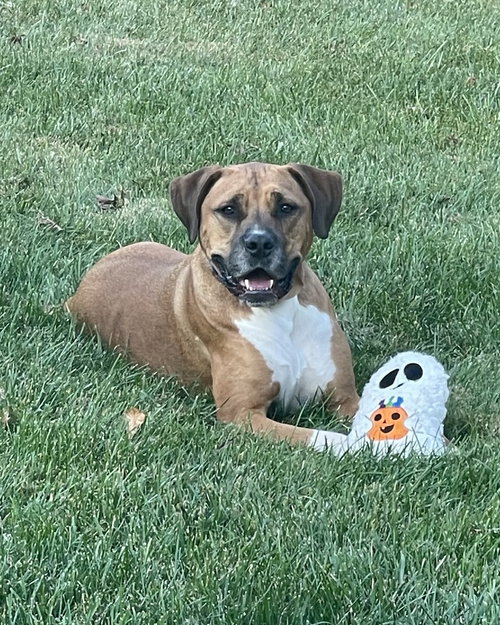 Photo of Roman