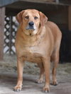 Mae (Trinity) - Photo 2