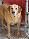 Mae (Trinity) - Photo 3