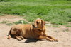 Mae (Trinity) - Photo 4