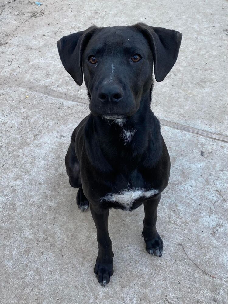 Jack Jack