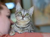 Silvia - Photo 3