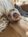Maggie - Photo 3