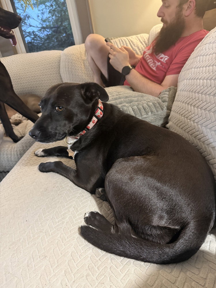 Samantha