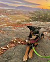 Cleo - Photo 4