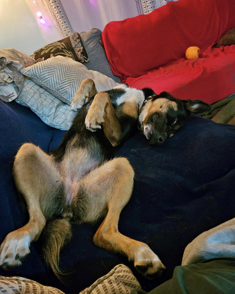 Cleo, photo 2